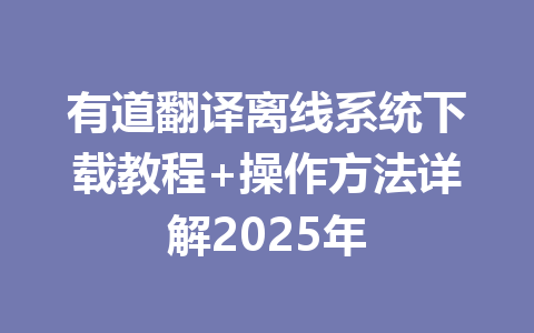 有道翻译离线系统下载教程+操作方法详解2025年 一