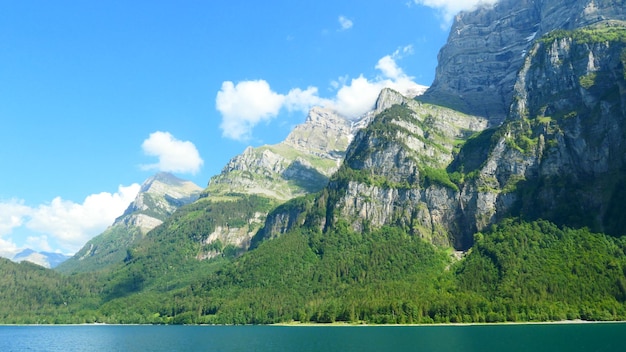 有道翻译离线系统下载教程+操作方法详解2025年 二