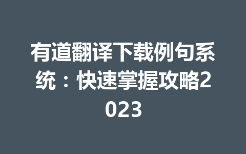 有道翻译下载例句系统：快速掌握攻略2023 一