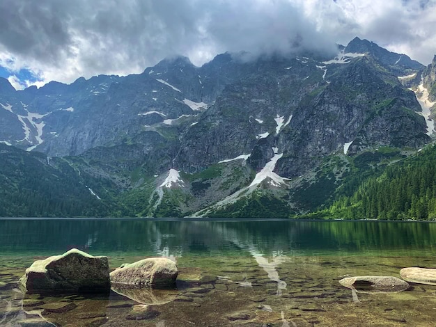 有道翻译下载对话版本?最新指南与技巧解析 有道翻译下载对话版本?最新指南与技巧解析 二