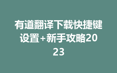 有道翻译下载快捷键设置+新手攻略2023 一