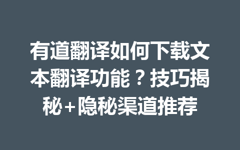 有道翻译如何下载文本翻译功能？技巧揭秘+隐秘渠道推荐 一